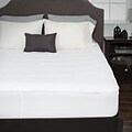 Bluestone Down Alternative Mattress Pad With  Fitted Skirt - Queen