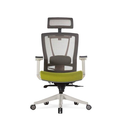 Autonomous ErgoChair - Premium Ergonomic Office Chair - Green