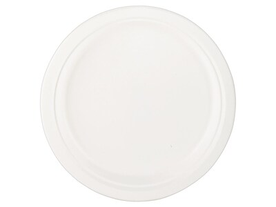 Eco-Products® Compostable Round Sugarcane Plate, 10 Natural White, 500/Carton (EP-P005)