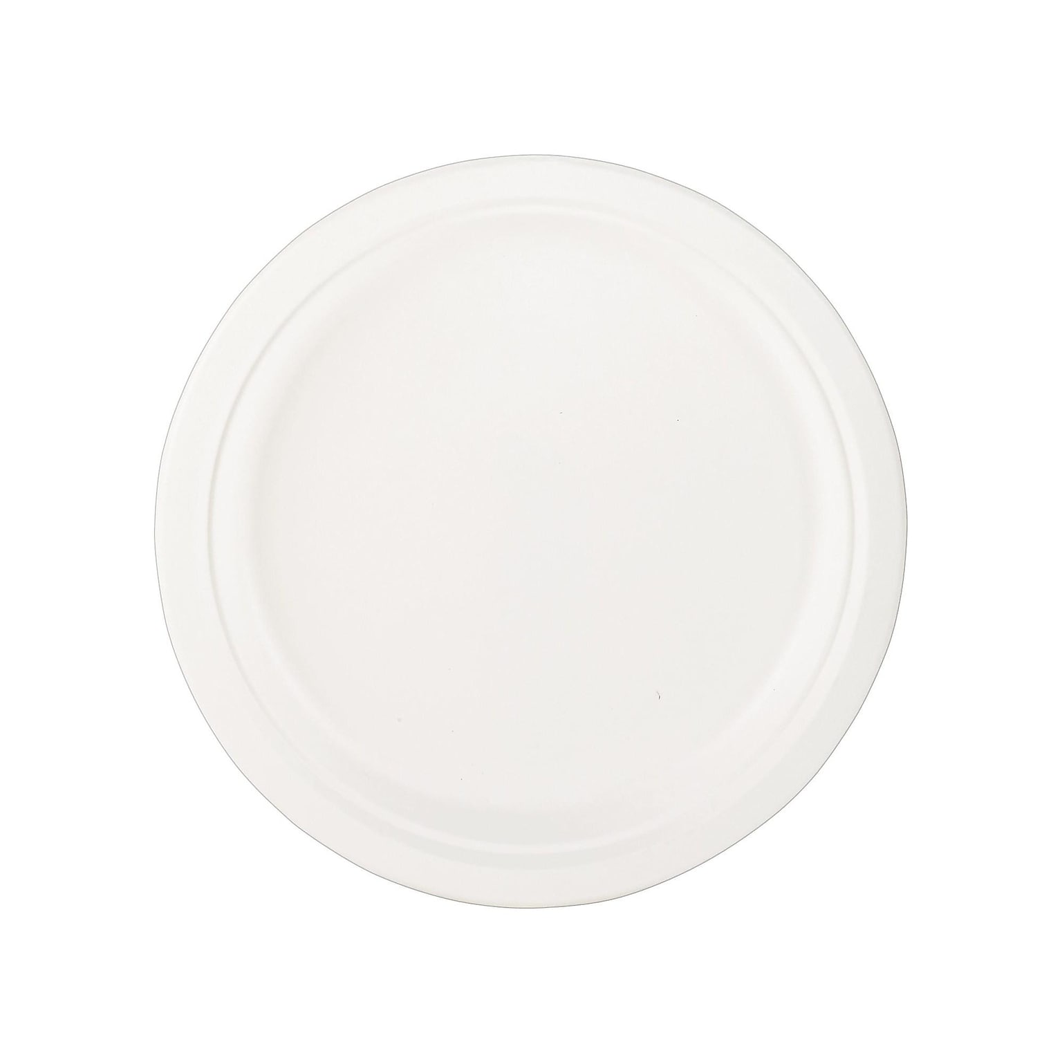 Eco-Products Compostable Round Sugarcane Plate, 10, Natural White, 500/Carton (ECOEPP005)