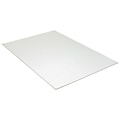 Pacon Foam Displays, 20 x 30, White, 10/Carton (5510)