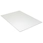 Pacon Foam Displays, 20" x 30", White, 10/Carton (5510)