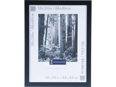 DAX Wide Wood Poster Frame, Black (2863W2X)