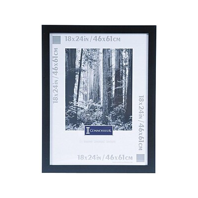 DAX Wide Wood Poster Frame, Black (2863W2X)