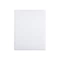 Quality Park Redi-Seal Catalog Envelopes, 9.5 x 12.5, White Wove, 100/Box (QUA43617)