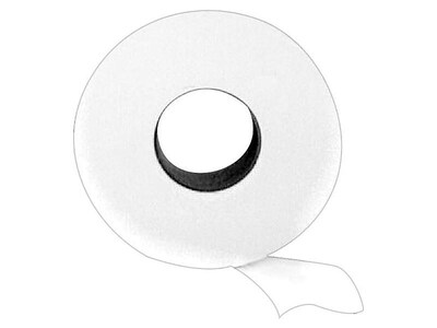 Eco Green 2-Ply Jumbo Toilet Paper, White, 12 Rolls/Carton (EJ932)