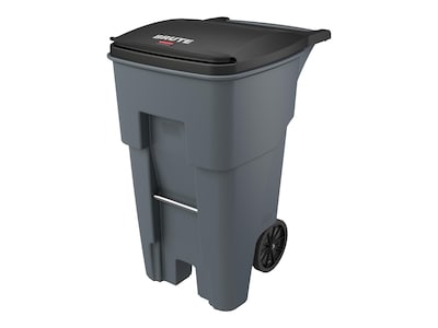 Rubbermaid BRUTE Rollout Plastic Outdoor Trash Can, 65 Gallon, Gray (FG9W2100GRAY)