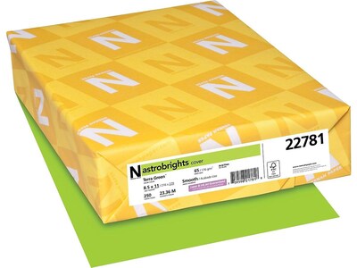 Astrobrights Cardstock Paper, 65 lbs, 8.5" x 11", Terra Green, 250/Pack (22781)