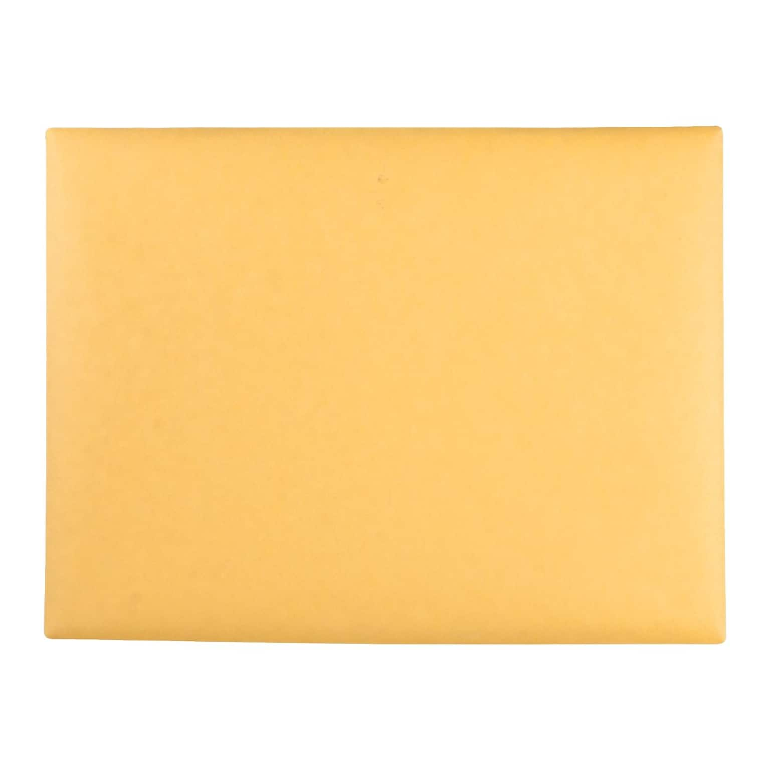 Quality Park Clasp Catalog Envelopes, 9L x 12H, Kraft, 100/Box (QUA38090)