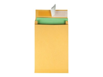 Quality Park Self Seal Kraft Catalog Envelopes, 9L x 12H, Kraft, 25/Box (QUA93334)