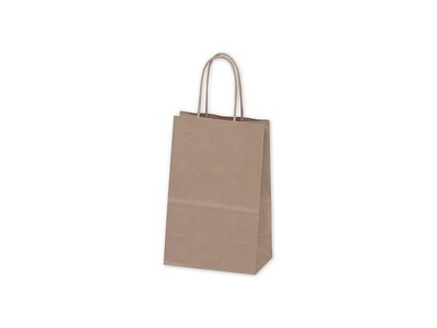 Bags & Bows 8.25H x 5.25W x 3.5D Shopping Bags, Kraft, 250/Carton (14-RK)