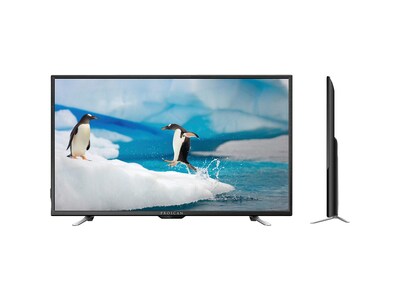 Proscan 55" LED 4K UHD TV (PLDED5515-UHD)
