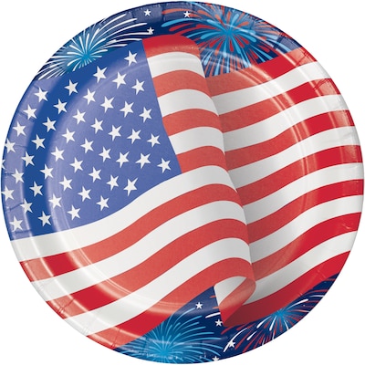 Creative Converting Patriotic Party Paper Plates, 24 Count (DTC335433DPLT)
