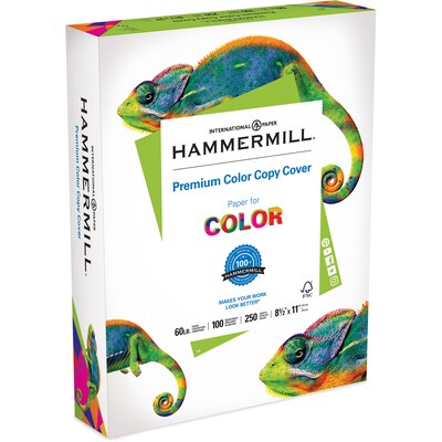 Hammermill Premium 8.5 x 11 3-Hole Punched Color Copy Paper, 28 lbs., 100  Brightness, 4000 Sheets/