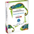 Hammermill Premium Color 8.5 x 11 Copy Paper, 24 lbs., 100 Brightness 2500 Sheets/Carton (12254-9)