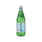 San Pellegrino® Natural Mineral Sparkling Water, 16.9 Oz., 24/Carton (12161701)