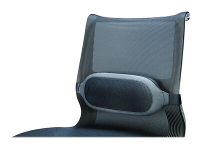 Fellowes I-Spire Back Support, Gray (9311601)