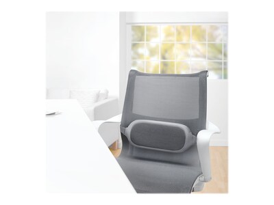 Fellowes I-Spire Back Support, Gray (9311601)