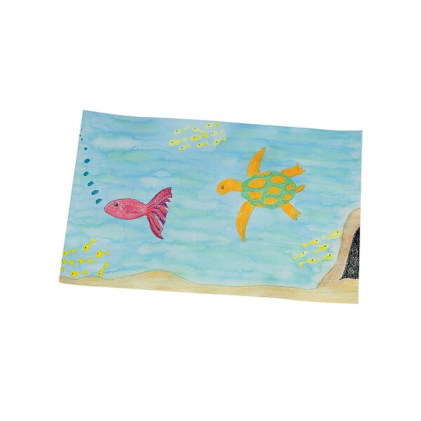 Pacon Watercolor Paper, 11W x 17L, White, 100/Pack (PE861)
