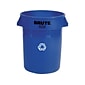 Rubbermaid Commercial Products Brute Resin Recycling Container, 32 Gallon, Blue (FG263273BLUE)