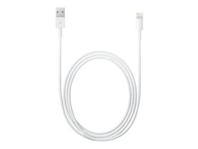 VisionTek - Lightning cable - USB-C (M) to Lightning (M) - 3.3 ft - for  Apple iPad/iPhone/iPod (Lightning)