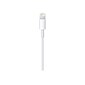 Apple Lightning USB Cable for iPhone/iPad/iPod Touch, 3.3 ft., White (MD818AM/A)