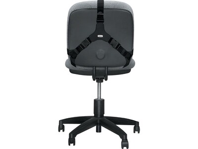 Fellowes Professional Back Support, Black (8037601)