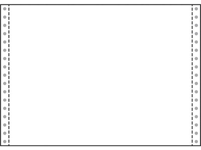 Printworks® Professional 12" x 8.5" Continuous Paper, 18 lbs., 100 Brightness, 4000 Sheets/Carton (02097)