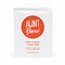 Aunt Flow Day Pads with Wings, Regular, 500/Case (ATF00125)