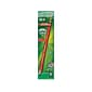 Dixon Ticonderoga Colored Pencils, Carmine Red, Dozen (14259)