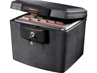 SentrySafe Plastic Fire/Waterproof Safe with Key, 0.65 cu. ft. (HD4100)