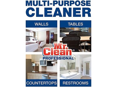 Mr. Clean Professional Liquid Concentrate Finished Floor Cleaner, Lemon Scent, 1 Gallon (02621)
