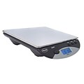 American Weigh Scales Stainless Steel Scale, Black (AMW13)