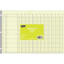 Staples Columnar Book, 50 Pages, Green (217885)