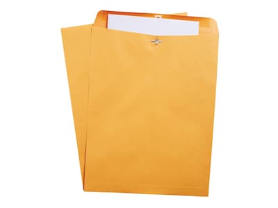 Clasp Envelopes, 10" x 15", Brown Kraft, 100/Box (535021/19814)