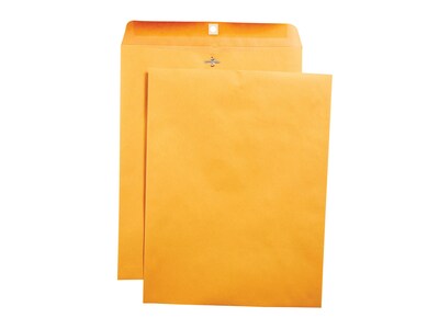 Clasp Envelopes, 10" x 15", Brown Kraft, 100/Box (535021/19814)