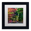Trademark Fine Art Kurt Shaffer All the Colors of October in Ohio 11 x 11 Matted Framed (886511963719)