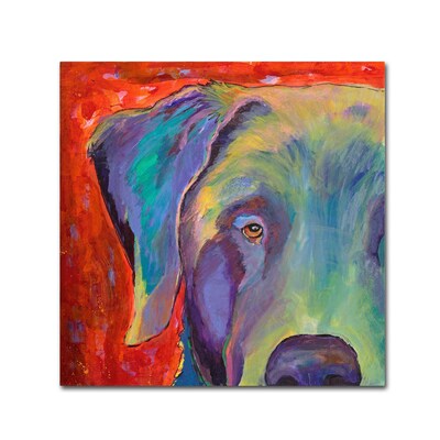 Trademark Fine Art Pat Saunders-White Aladdin 14 x 14 Canvas Stretched Art Print (190836055715)