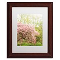 Trademark Fine Art Ariane Moshayedi Pink Cherry Blossoms 11 x 14 Matted Framed (190836273201)