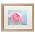 Trademark Fine Art Cora Niele Pink Persian Buttercup Still Life 16 x 20 Matted Framed (190836259892)