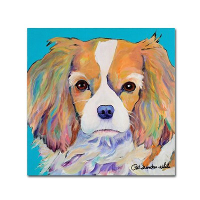 Trademark Fine Art Pat Saunders-White Dagney 14 x 14 Canvas Stretched (190836058594)