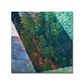 Trademark Fine Art Kurt Shaffer Inspired by Monet 14 x 14 Canvas Stretched (190836006717)