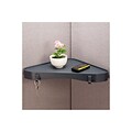 Diversity Products Solutions by Staples Verti-Go Corner Shelf, Charcoal (DPS21660-CC)