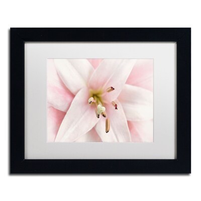 Trademark Fine Art Cora Niele Pink Lily 11 x 14 Matted Framed (190836306985)