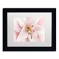 Trademark Fine Art Cora Niele Pink Lily 11 x 14 Matted Framed (190836306985)