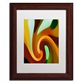 Trademark Fine Art Amy Vangsgard Wind In Tree Vertical 2 11 x 14 Matted Framed (886511939158)