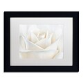 Trademark Fine Art Cora Niele Pure White Rose 11 x 14 Matted Framed Art Print (190836308668)