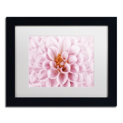 Trademark Fine Art Cora Niele Pink Dahlia 11 x 14 Matted Framed (190836306848)