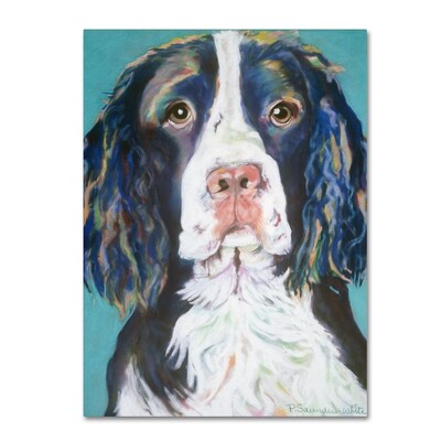 Trademark Fine Art Pat Saunders-White Dodger 14 x 19 Canvas Stretched Art Print (190836059072)