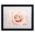 Trademark Fine Art Cora Niele Peach Pink Rose 16 x 20 Matted Framed Art Print (190836258611)